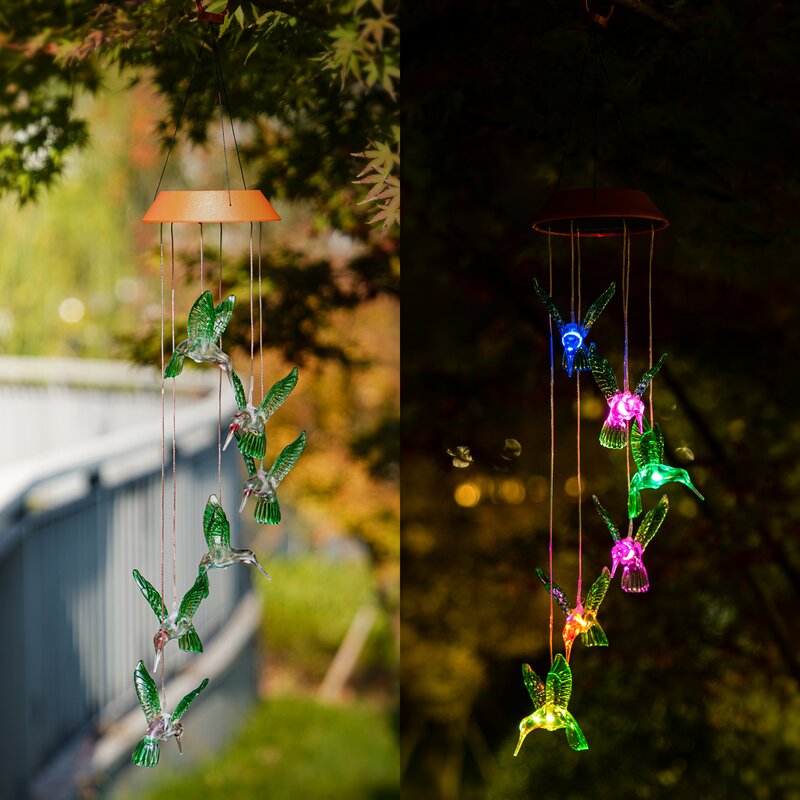 Lumières de colibri pendantes à énergie solaire