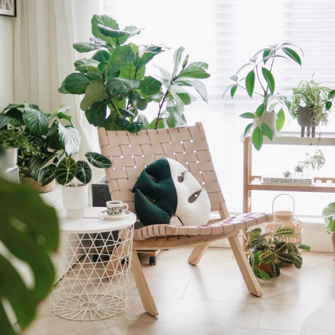 Plant Pillow