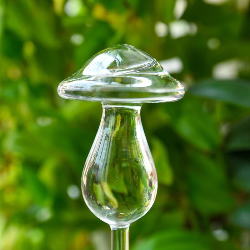 Bombillas de pájaros de vidrio para plantas de autorriego