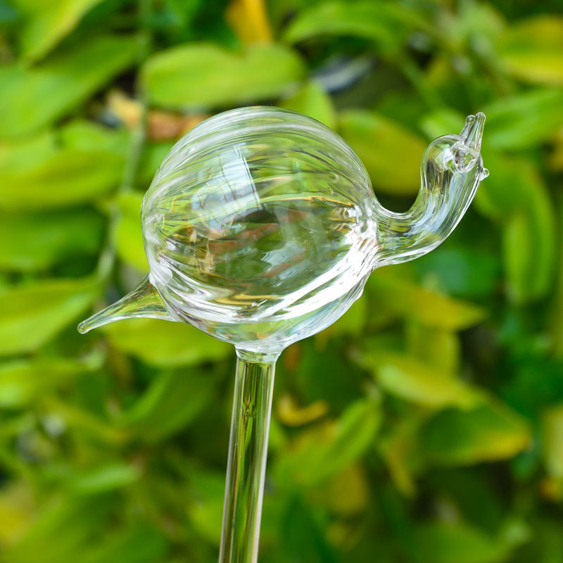 Bombillas de pájaros de vidrio para plantas de autorriego