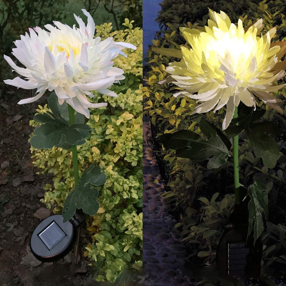 Paquete de 2 luces solares de jardín de crisantemo