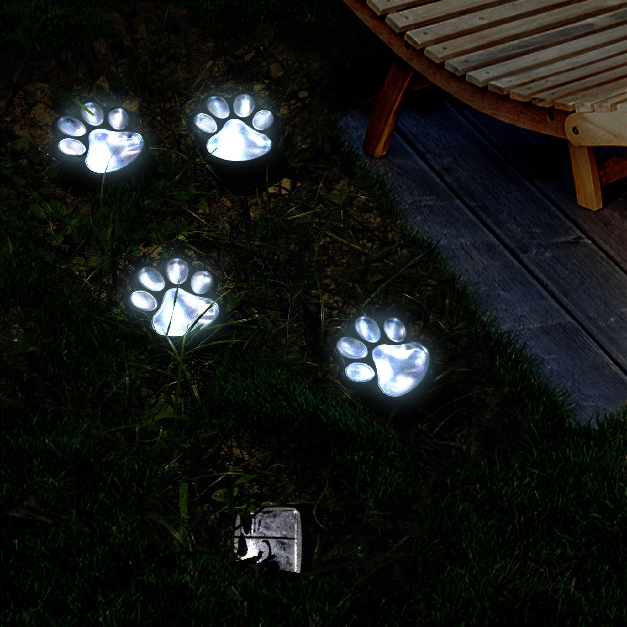 Luce solare per zampa di cane