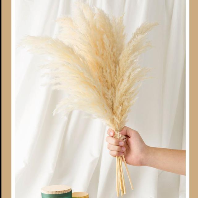 Decoración de estilo vintage de hierba de pampa